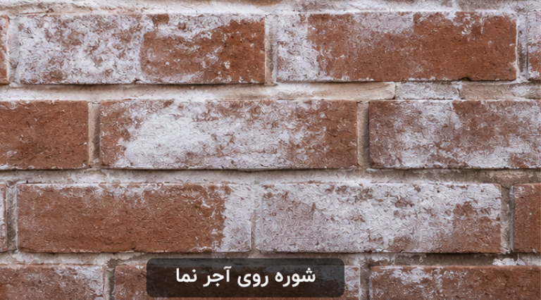 شوره