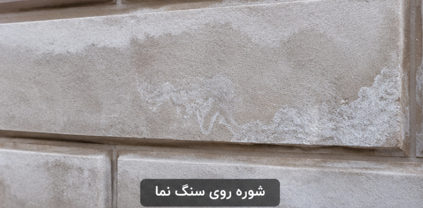 شوره